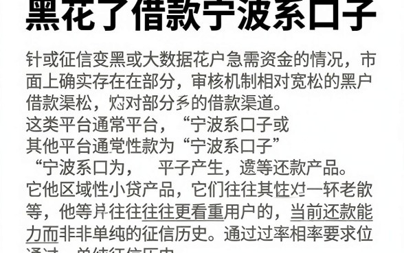 黑花了借款宁波系口子,详细阐述5个黑户下款口子