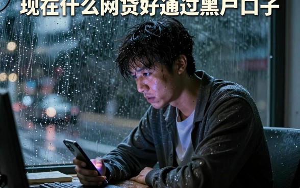 现在什么网贷好通过黑户口子，细致阐述五个金融创新秒下不要芝麻分的口子