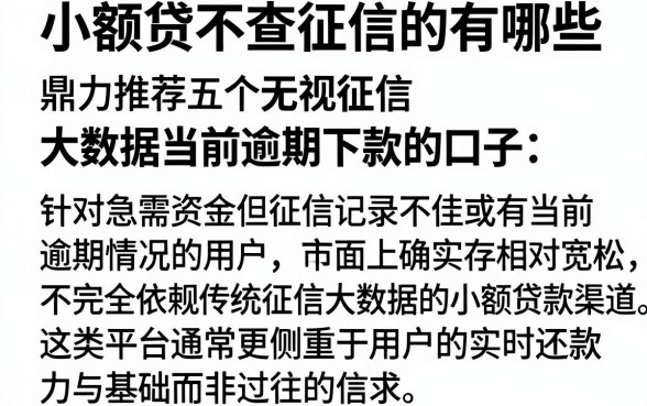 小额贷不查征信的有哪些,鼎力推荐五个无视征信大数据当前逾期下款的口子