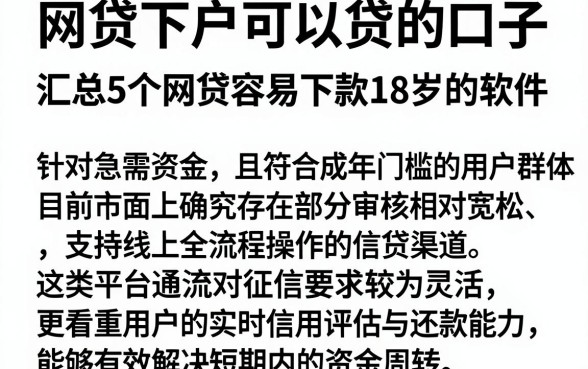 网贷下户可以贷的口子,汇总5个网贷容易下款18岁的软件