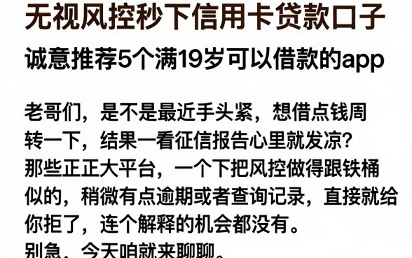 无视风控秒下信用卡贷款口子,诚意推荐5个满19岁可以借款的app