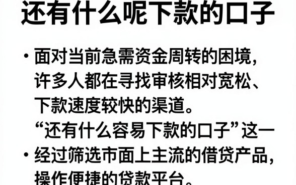 还有什么呢下款的口子,规整五个简单容易贷款平台