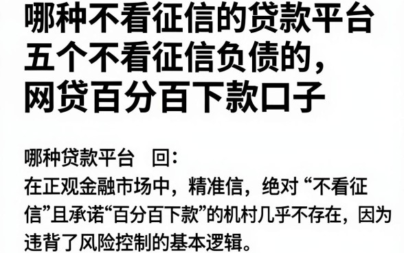 哪种不看征信的贷款平台，概览五个不看征信负债的网贷百分百下款口子