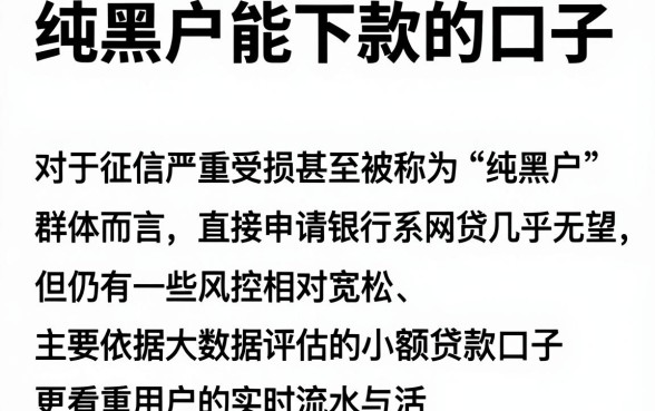 纯黑户能下款的口子,理出五个网贷口子风控不严的平台