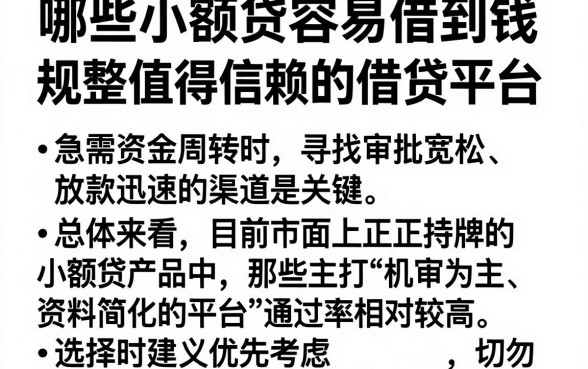哪些小额贷容易借到钱,规整5个值得信赖的借贷平台