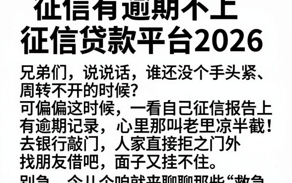 征信有逾期不上征信贷款平台2026,精选五个网贷无视不查征信软件