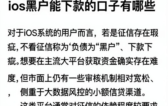 ios黑户能下款的口子有哪些,详细阐述5个不看征信负债的网贷百分百下款口子