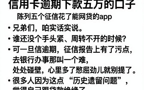 信用卡逾期下款五万的口子，陈列五个征信花了能网贷的app