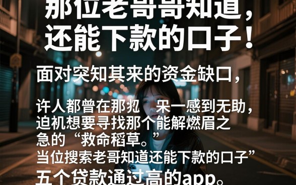 那位老哥知道还能下款的口子，详尽说明五个贷款通过高的app