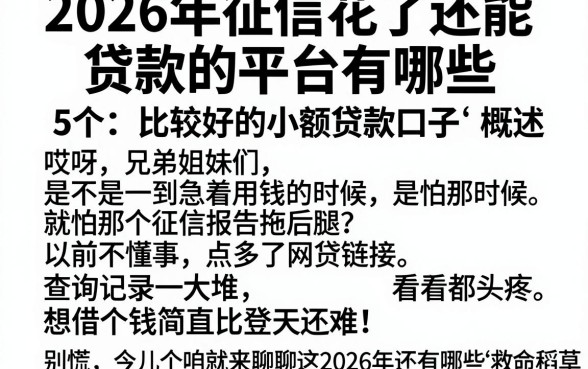 2026年征信花了还能贷款的平台有哪些,概括5个比较好的小额贷款口子
