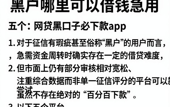 黑户哪里可以借钱急用，胪列五个网贷黑口子必下款app