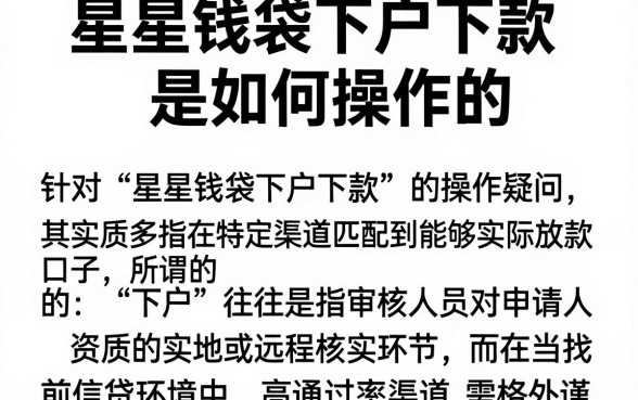 星星钱袋下户下款是如何操作的，遴选5个高炮能下款的app