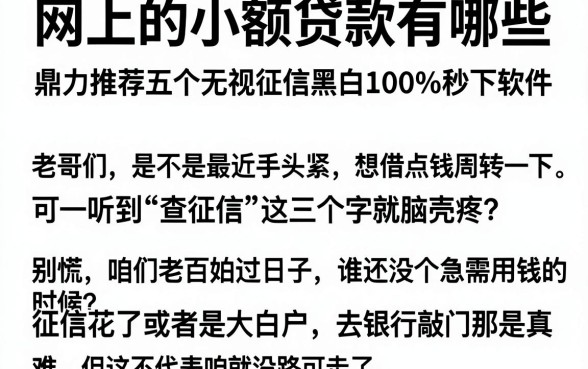 网上的小额贷款有哪些,鼎力推荐五个无视征信黑白100%秒下软件