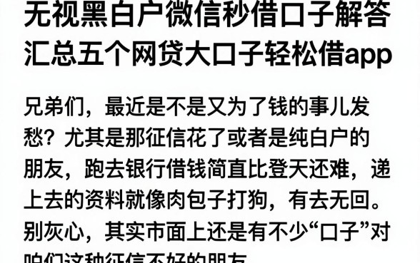 无视黑白户微信秒借口子解答,汇总五个网贷大口子轻松借app