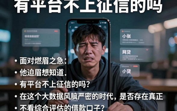 有平台不上征信的吗,概括五个借钱平台不看综合评估的app
