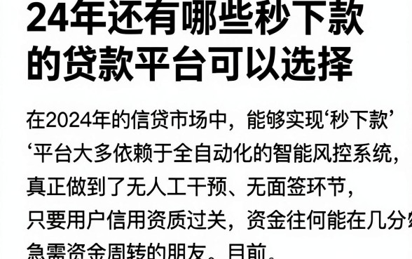 24年还有哪些秒下款的贷款平台可以选择,遴选五个秒批无面签贷款平台