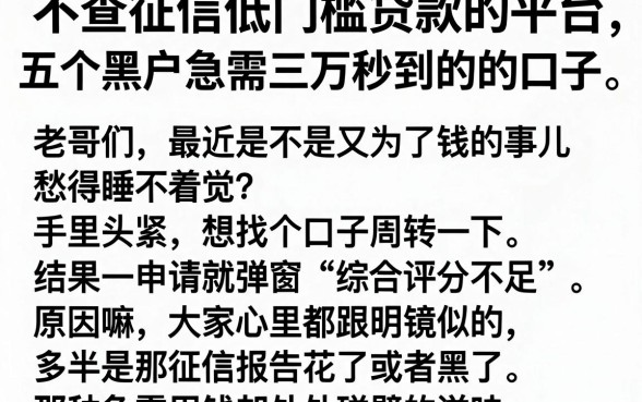 不查征信低门槛贷款的平台,细致阐述五个黑户急需三万秒到的的口子