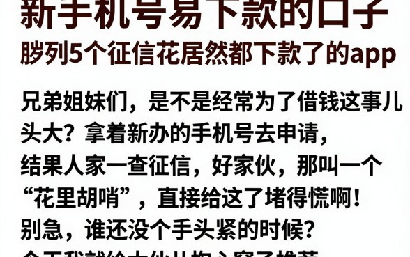 新手机号易下款的口子，胪列5个征信花居然都下款了的app
