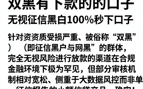 双黑有下款的的口子，规整5个无视征信黑白100%秒下口子