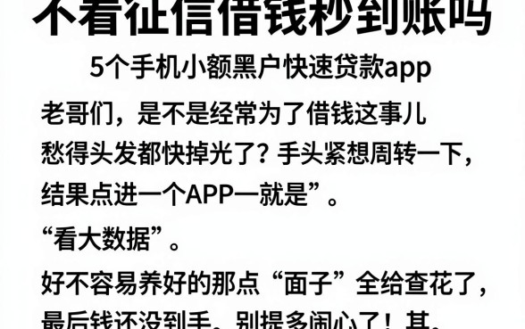 不看征信借钱秒到账吗,筛选5个手机小额黑户快速贷款app