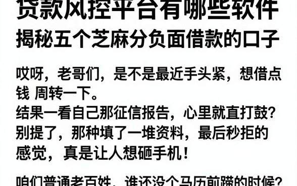 贷款风控平台有哪些软件，揭秘五个芝麻分负面借款的口子