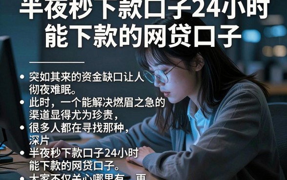 半夜秒下款口子24小时能下款的网贷口子，理出五个不看负债查询的平台