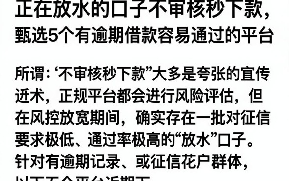 正在放水的口子不审核秒下款，甄选5个有逾期借款容易通过的平台