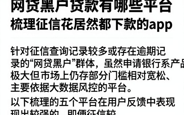 网贷黑户贷款有哪些平台,梳理五个征信花居然都下款的app