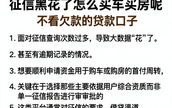 征信黑花了怎么买车买房呢,细致阐述五个不看欠款的贷款口子