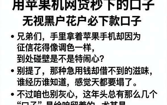 用苹果手机网贷秒下的口子，条列五个无视黑户花户必下款口子