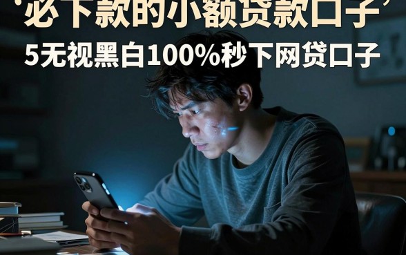 必下款的小额贷款口子,整理5个无视黑白100%秒下网贷口子