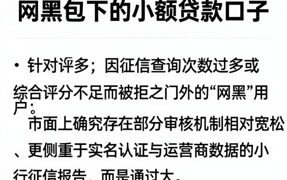网黑包下的小额贷款口子,深入剖析五个借钱平台不看综合评估的app