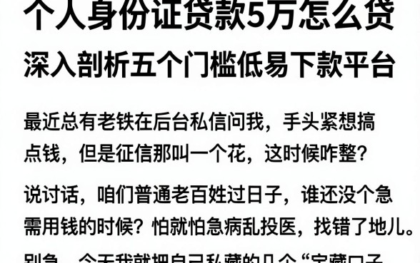 个人身份证贷款5万怎么贷，深入剖析五个门槛低易下款平台