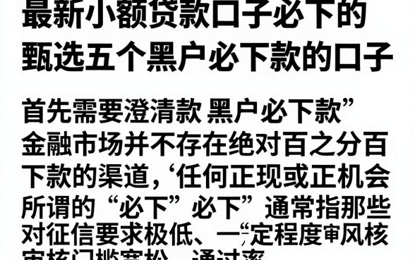 最新小额贷款口子必下的,甄选五个黑户必下款的口子