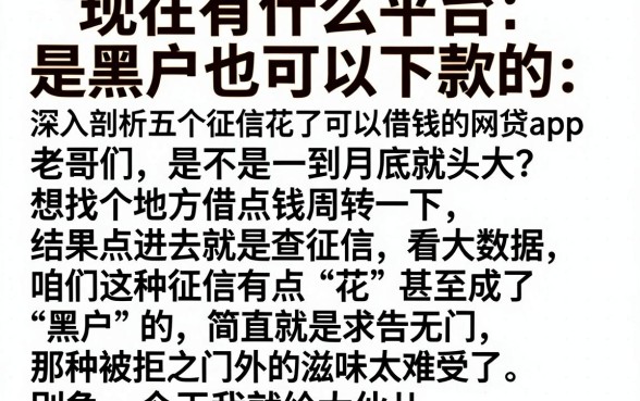 现在有什么平台是黑户也可以下款的,深入剖析五个征信花了可以借钱的网贷app