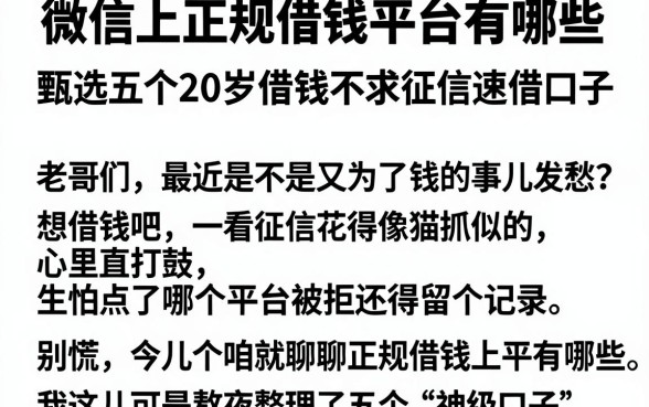 微信上正规借钱平台有哪些,甄选五个20岁借钱不求征信速借口子
