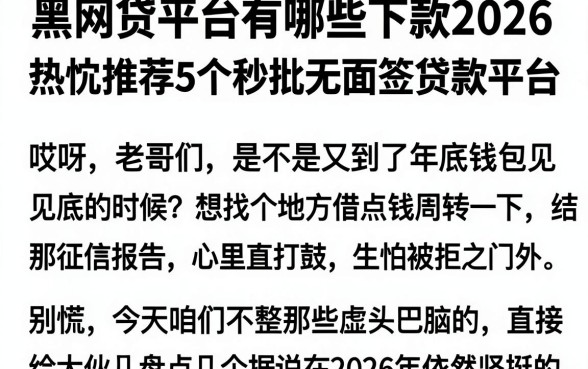 黑网贷平台有哪些下款2026，热忱推荐5个秒批无面签贷款平台