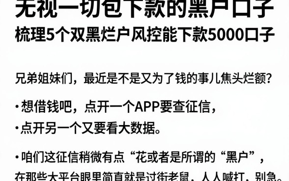 无视一切包下款的黑户口子,梳理5个双黑烂户风控能下款5000口子