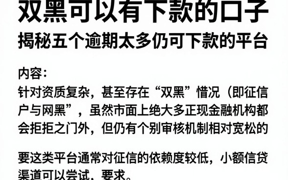 双黑可以有下款的口子，揭秘五个逾期太多仍可下款的平台