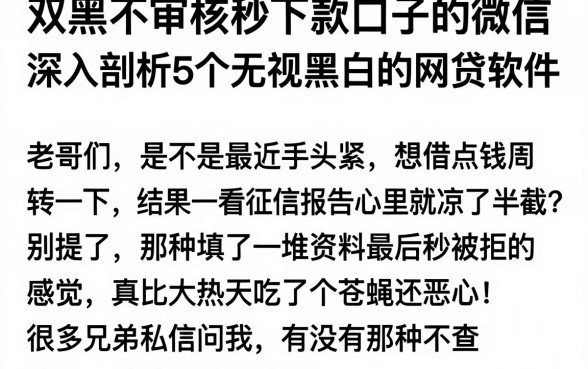 双黑不审核秒下款口子的微信，深入剖析5个无视黑白的网贷软件