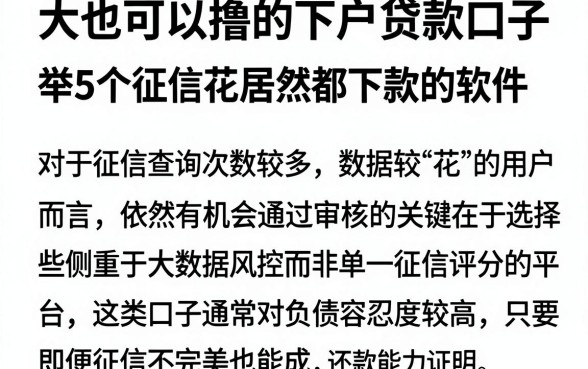 大也可以撸的下户贷款口子,枚举5个征信花居然都下款的软件
