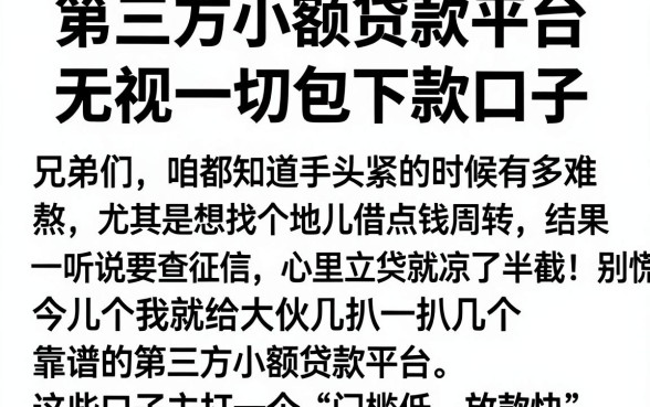 第三方小额贷款平台,概览五个无视一切包下款口子