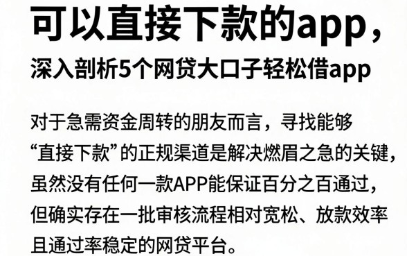 可以直接下款的app,深入剖析5个网贷大口子轻松借app