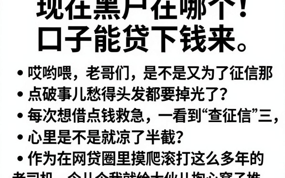 现在黑户在哪个口子能贷下钱来，条列5个无视黑白必下款的网贷app
