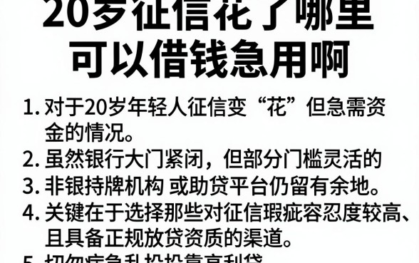20岁征信花了哪里可以借钱急用啊,胪列5个靠谱的借款平台