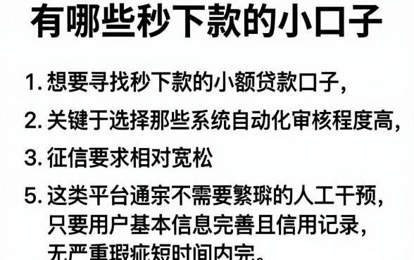 有哪些秒下款的小口子,条列5个贷款通过高的平台