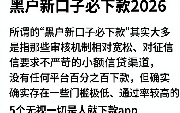 黑户新口子必下款2026,详细阐述5个无视一切是人就下款app