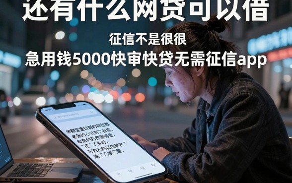 还有什么网贷可以借,征信不是很好,详尽说明五个急用钱5000快审快贷无需征信app