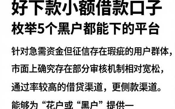 好下款小额借款口子,枚举5个黑户都能下的平台