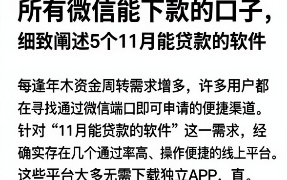 所有微信能下款的口子,细致阐述5个11月能贷款的软件